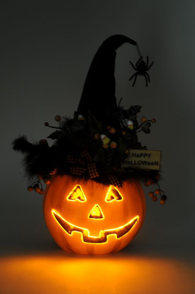 Lighted Fiber Optic Pumpkin by Karen Didion Originals - Image 5