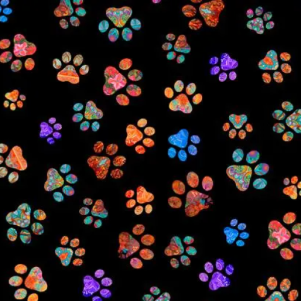 Kitties 108" Wide Backing Fabric By QT Fabrics